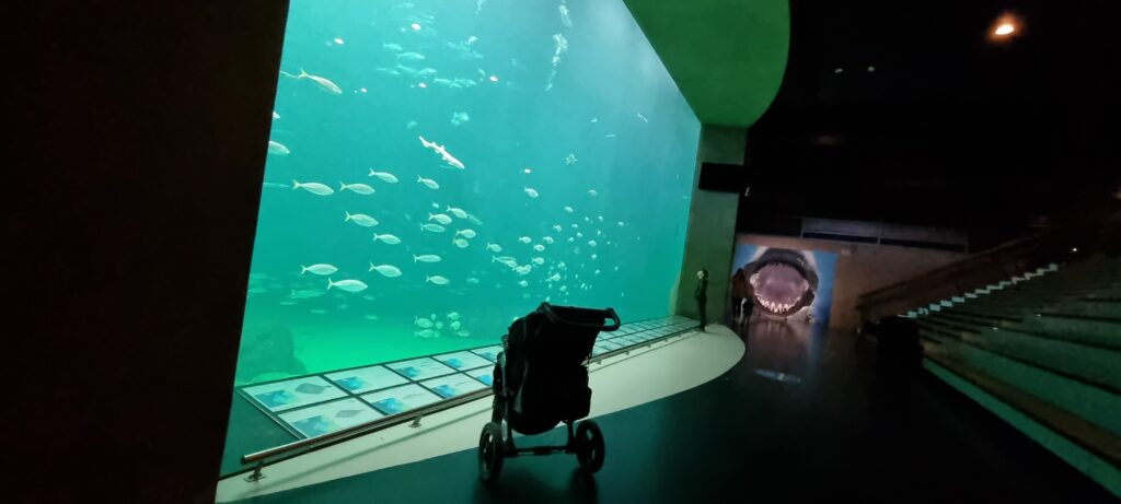 Nordsøen Oceanarium