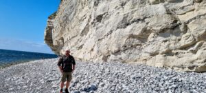 Stevns Klint