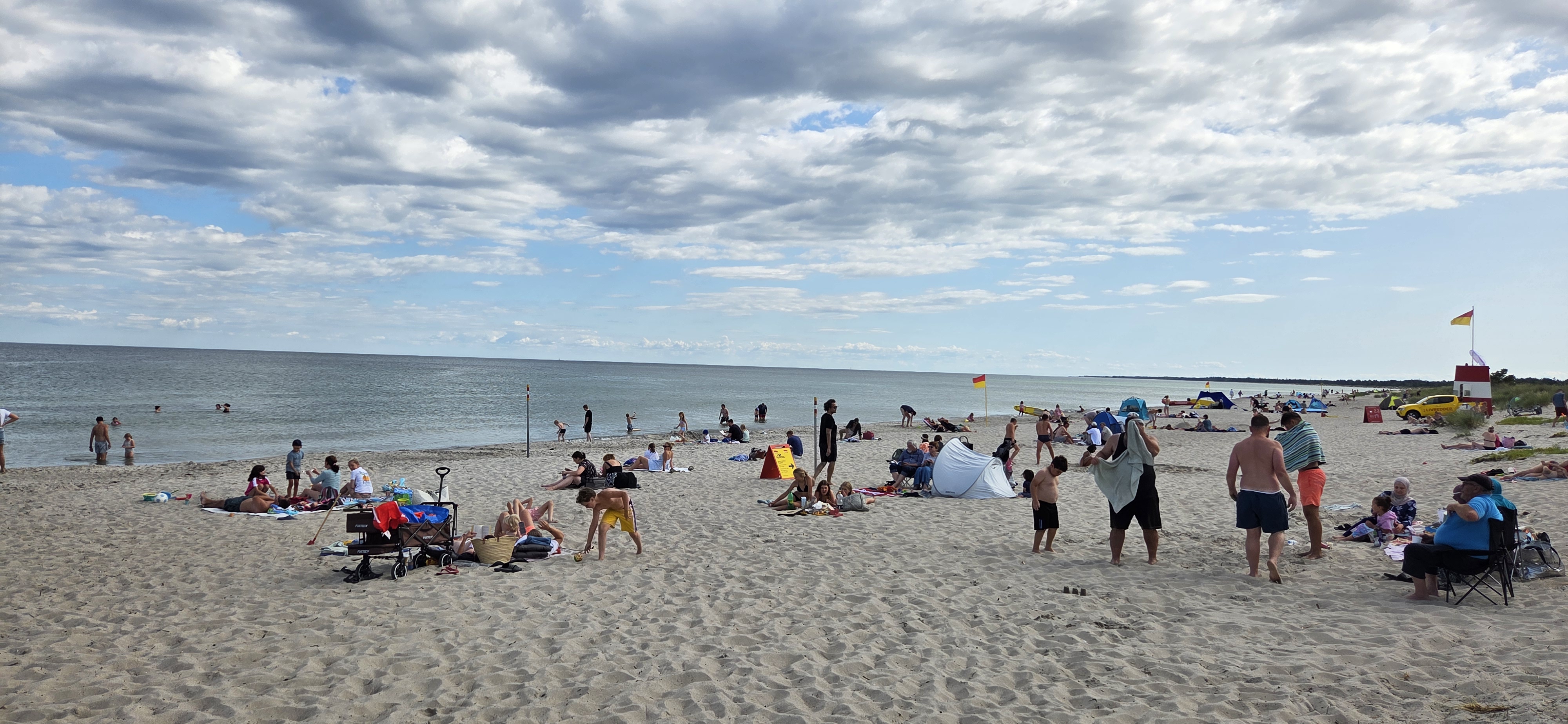 Marielyst strand er fuld af liv. Foto: Jesper Kjærgaard